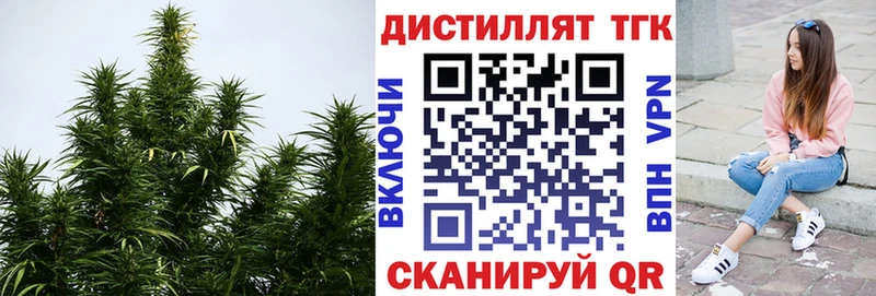 ТГК концентрат Себеж