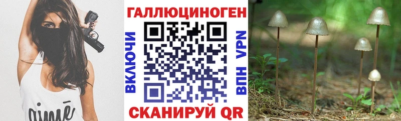 Псилоцибиновые грибы Psilocybe  Себеж 